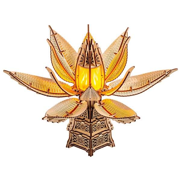 Fiery Bloom