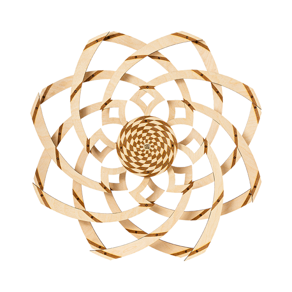 Hypnotic Vortex