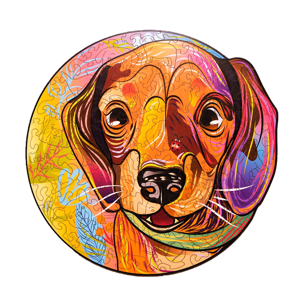 Lucky puppies: Charlie