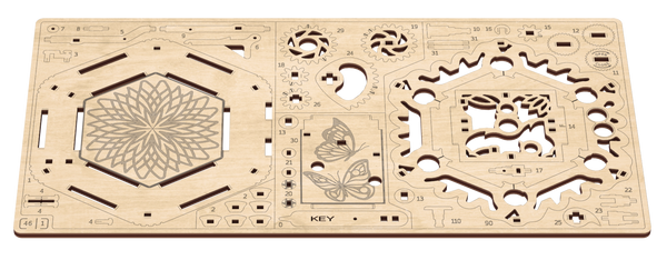 Board 1 — Mystery flower