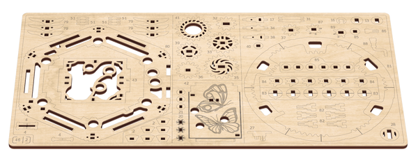 Board 2 — Mystery flower