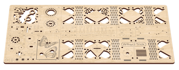 Board 3 — Mystery flower