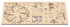 Board 4 — Mystery flower English