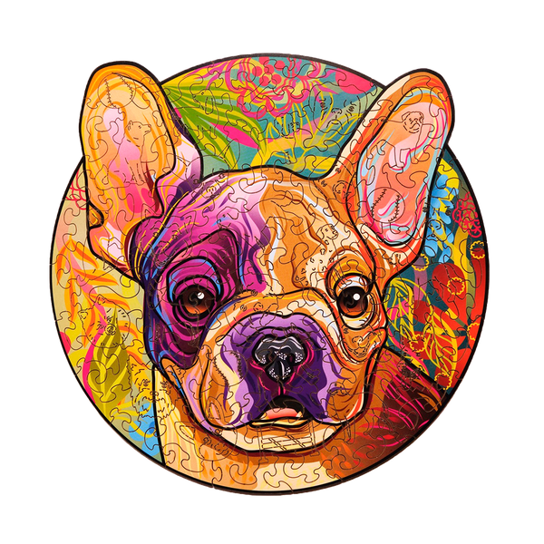 Lucky puppies: Rocky