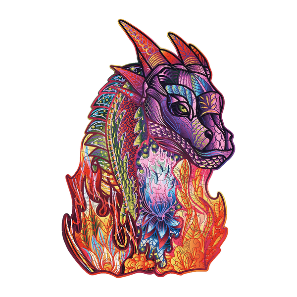 Wizard Dragon
